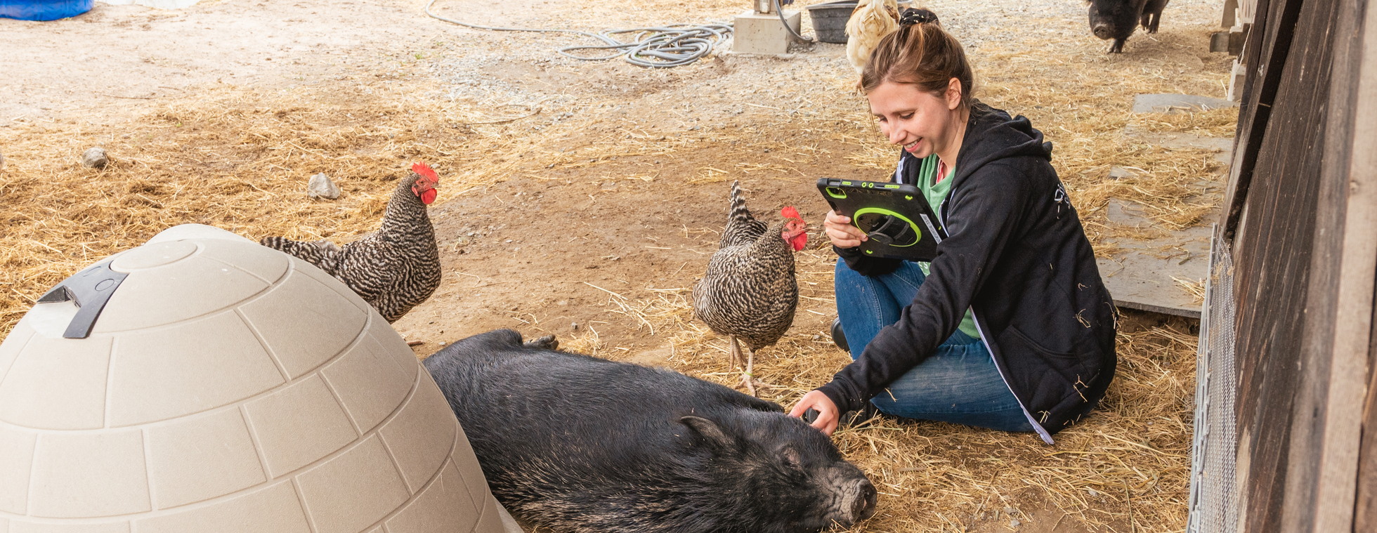 Virtual Class Pet Program Registration - '25-'26 School Year